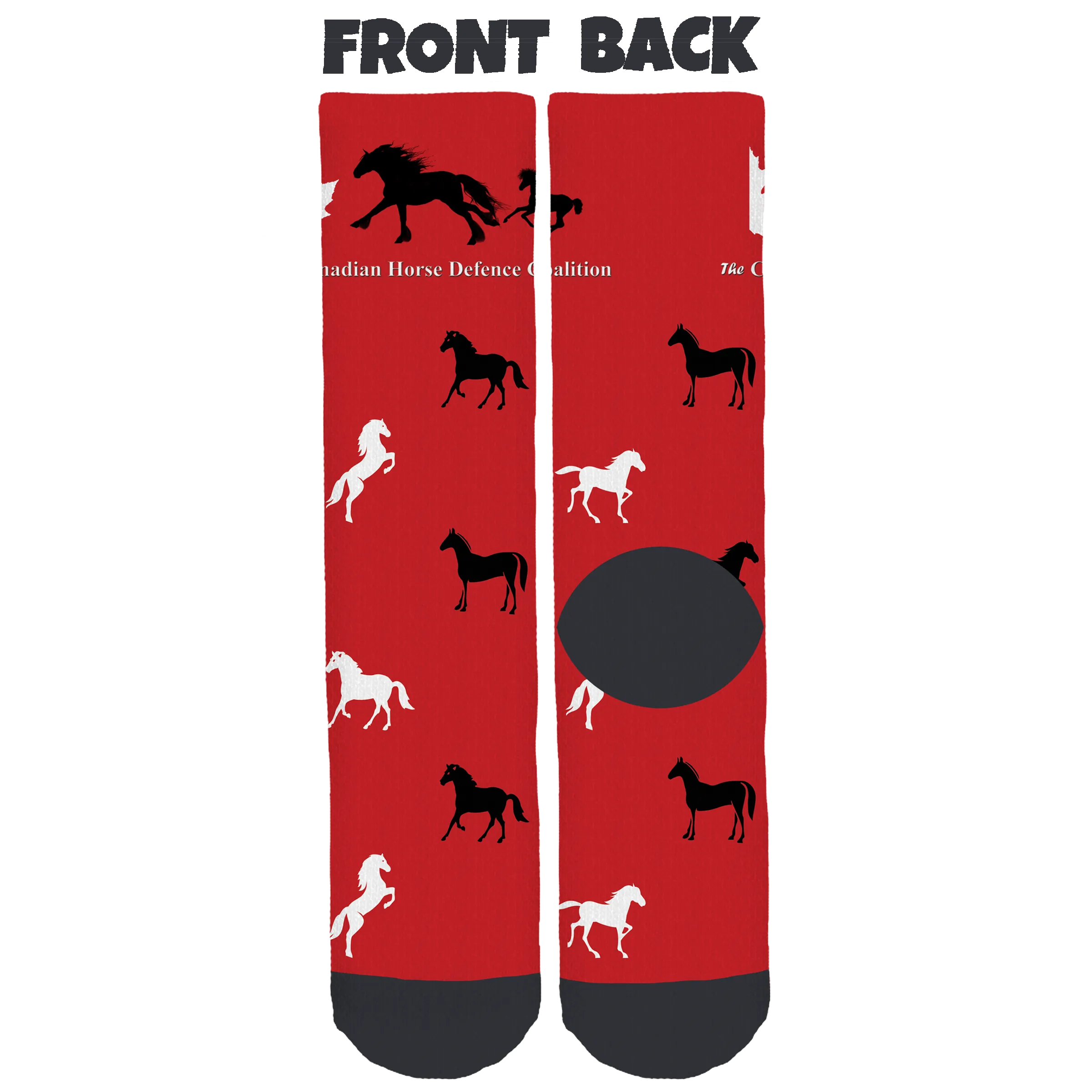 Canadian Horse Defence Coalition Socks