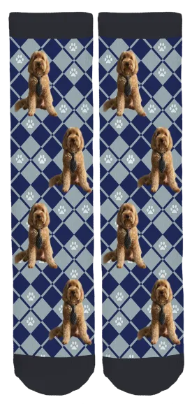 Fenway the Labradoodle Crew Socks