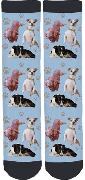 Mary Ann Morris Animal Society Crew Socks